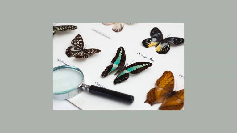 Westfälische Entomologen (Insektenforscher)